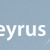 Keyrus : CA T1 2013 : +4,4%